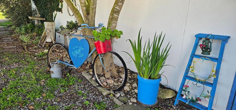 4 Bedroom Property for Sale in Blue Lagoon Western Cape